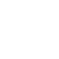 Logo Ingenico