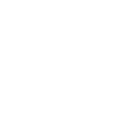 Bice Wiser