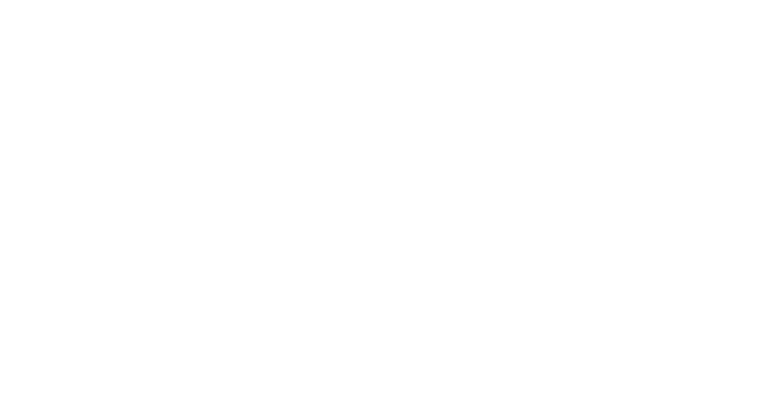 Logo-Wiser-Experience---Branco